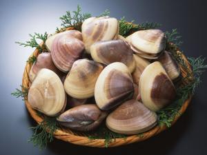 蛤蜊的營養價值-蛤蜊的做法