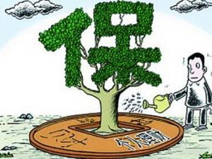 什么是網絡保險？網絡保險怎么投保？