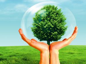 ?什么是保險公估人？保險公估的發展