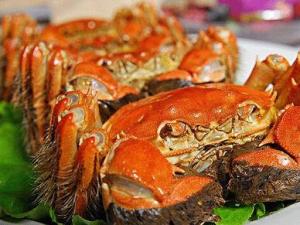 ����������ꖳκ����lз�óԣ�����ꖳκ����lз������