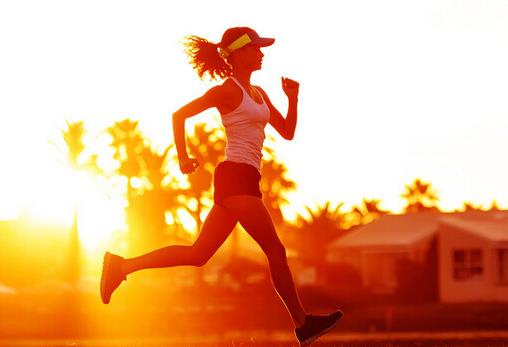 �ܲ���ò�����ȼ֬���������ܲ��p��ÿ���܎׹�����Ч��