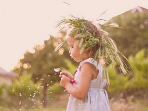 夏天如何養陽？適合夏日養陽的食材