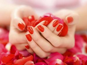 ���׵�Σ�����l�����׌����w��Σ���ж��