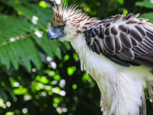 ������������ �����e����4����