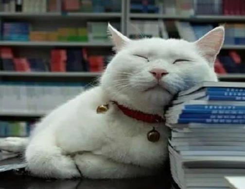 3һ4�c����ʧ�߳�ʲôˎ����������ʧ��������һ֏�(f��)��