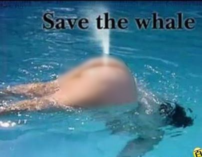 ��Ц�DƬ��ţ����Ĭ��Ц����һ���׵��㣬�L�~(y��)��ˮ