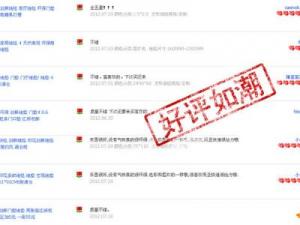 ?釣魚山寨官網頻現欺詐仍“好評如潮”