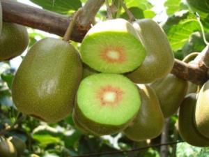 �������ܳԫJ���҆᣿�����ڳԫJ���ҵĺ�̎