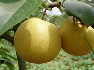 �a�D���Գ���᣿�a�D����Æ�