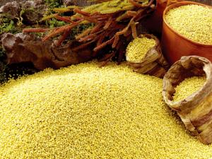 早晚喝點小米粥-男人40后養生須知