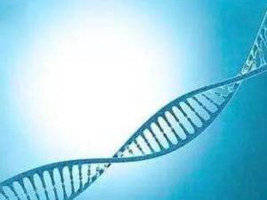 ?男性的性欲逐漸下降影響夫妻生活和諧 推薦6種食物增性欲