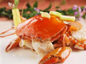 膏蟹怎么做好吃?膏蟹的簡(jiǎn)介-膏蟹的做法