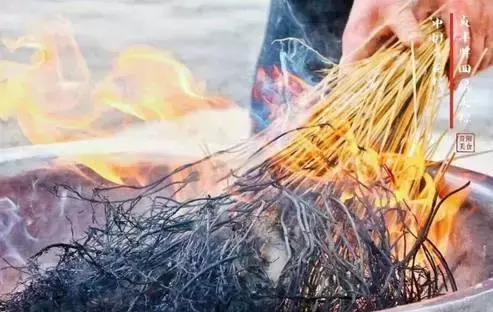 端午節粽子葉用什么葉子?原來這么多葉子都可以包粽子