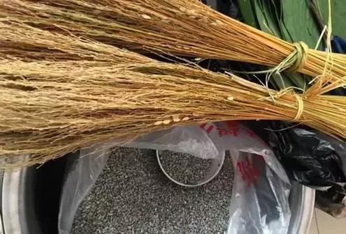 端午節粽子葉用什么葉子?原來這么多葉子都可以包粽子