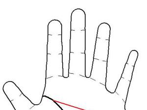 ���������D�⣺���˾��O���Ů������