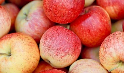 什么時(shí)候吃蘋果最減肥?什么時(shí)候吃蘋果可以減肥