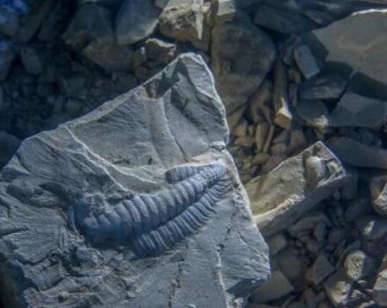 中國十大世界自然遺產(chǎn),九寨溝景區(qū)、神農(nóng)架旅游區(qū)都是原生態(tài)旅游區(qū)