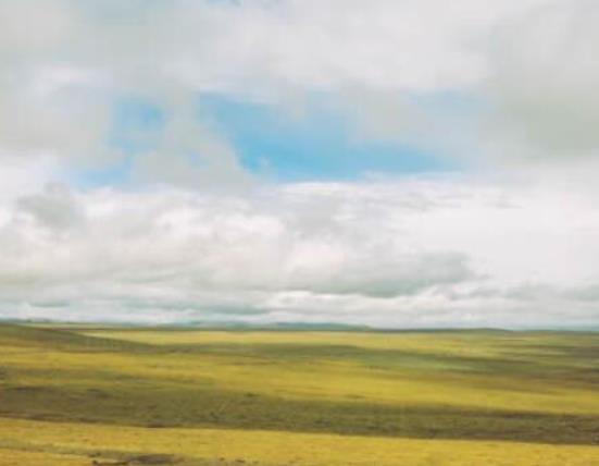 中國十大世界自然遺產(chǎn),九寨溝景區(qū)、神農(nóng)架旅游區(qū)都是原生態(tài)旅游區(qū)