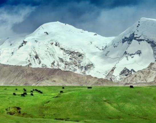 中國十大最美草原排行榜,伊犁草原、呼倫貝爾草原四季風(fēng)光景色宜人