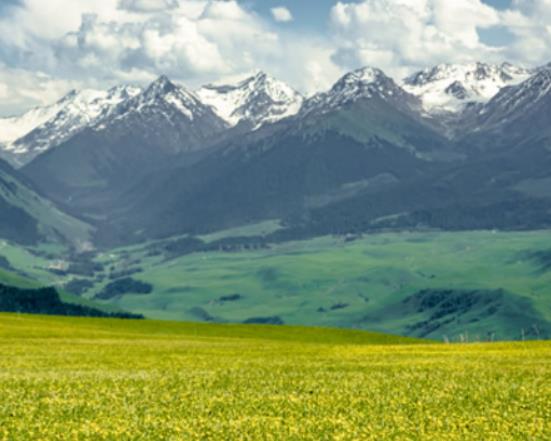 中國十大最美草原排行榜,伊犁草原、呼倫貝爾草原四季風(fēng)光景色宜人