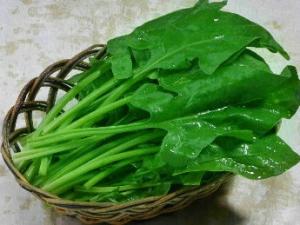 吃菠菜有什么好處?菠菜的功效與營養(yǎng)價(jià)值