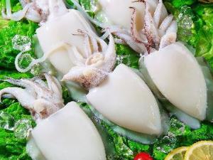 吃墨魚(yú)有什么好處？墨魚(yú)的營(yíng)養(yǎng)價(jià)值