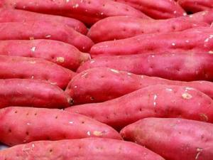 吃紅薯有什么好處？紅薯的營養價值