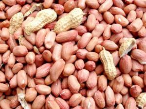 吃花生米有什么好處?花生米的營(yíng)養(yǎng)價(jià)值