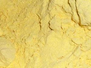 玉米面的營養價值-玉米面的功效與作用