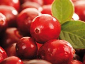 蔓越莓的營養價值-蔓越莓的功效與作用