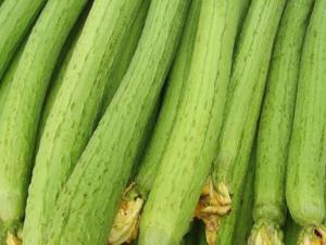 吃絲瓜好嗎？絲瓜的營養(yǎng)價(jià)值、功效與作用