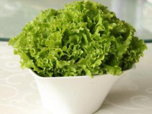 生菜的營養價值-生菜的功效與作用