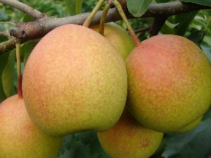 ������x��