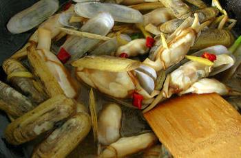 ��γ�����ζ���|�ӣ����|�ӵ�����