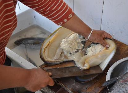 �Ӱ���ôϴ�ŸɃ����Ӱ���ô���óԣ��Ӱ��������