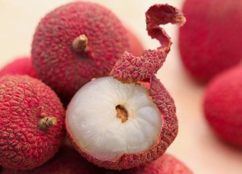 ��֦���r��ʲô�÷��������r����֦�ܱ������