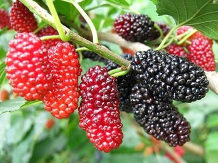 ɣ����ôϴ��ɣ�صı��淽��