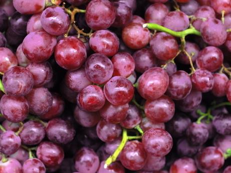 如何挑選新鮮的葡萄?新鮮葡萄的選購(gòu)方法