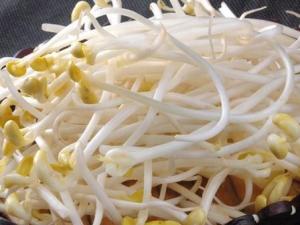 如何識(shí)別化學(xué)豆芽？化學(xué)豆芽怎么鑒別