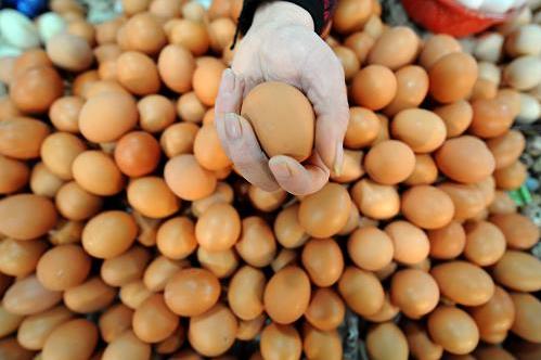 �I�u����С�[�T-�I�u����ע�����(xi��ng)