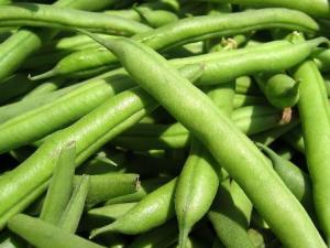 如何挑選新鮮的四季豆？四季豆的選購技巧
