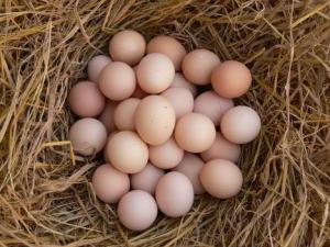 散裝雞蛋保質期多長時間？長時間存放雞蛋營養損失