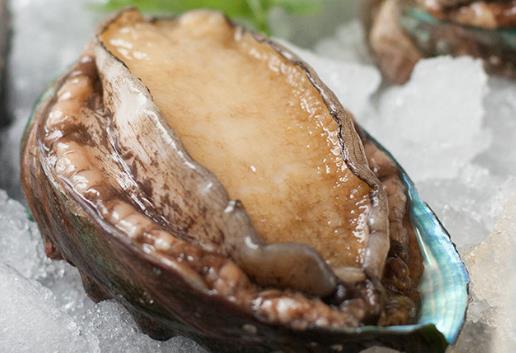 ������x��(y��u)�|(zh��)�U�~���U�~�����x����