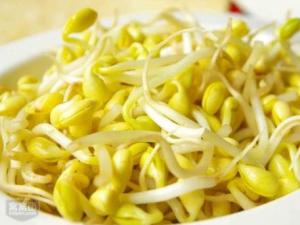 如何發黃豆芽？家庭怎么發黃豆芽