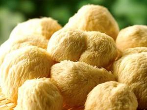 如何泡發猴頭菇？猴頭菇的泡發小竅門