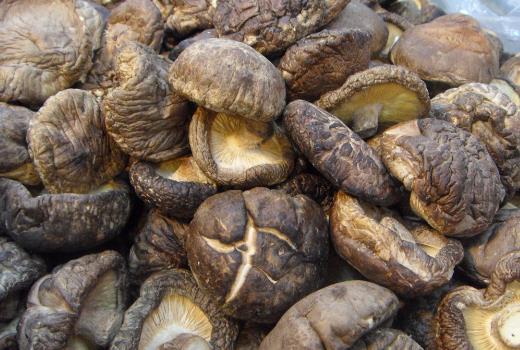 ����xُ���㹽�����㹽�����x����