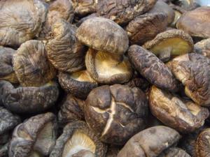 如何選購干香菇？干香菇的挑選方法