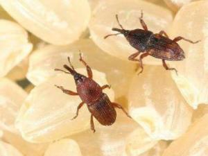 �������x����ô�k ����ׂ��(q��)�x������С�[�T