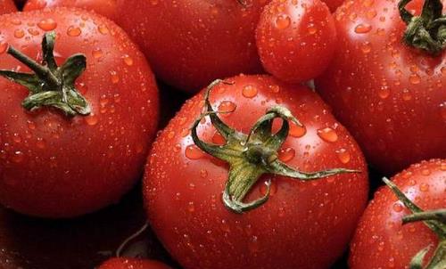 西紅柿如何去皮 西紅柿如何快速去皮