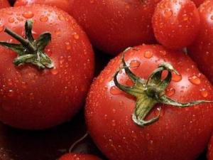 ���t�����ȥƤ ���t����ο���ȥƤ